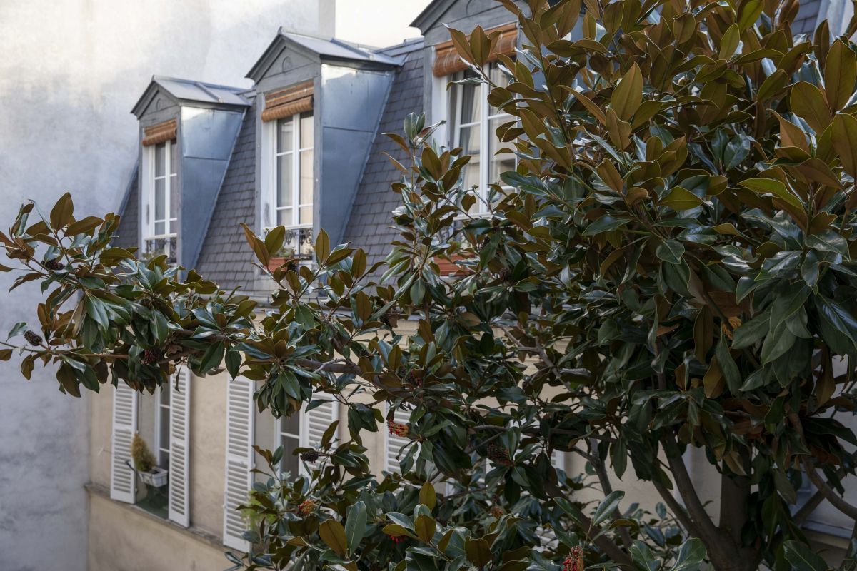 Hotel Relais Bosquet París - Rodeando